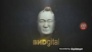 ВИDgital 2017