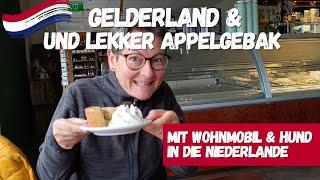 Gelderland   Lekker Apfelkuchen und Eis in Borculo | im Wohnmobil mit Hund in die Niederlande