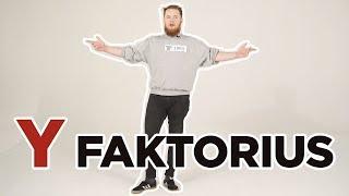 Y Faktorius