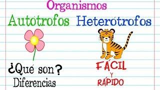 Organismos AUTÓTROFOS Y HETERÓTROFOS [Fácil y Rápido] | BIOLOGÍA |