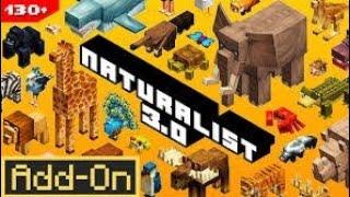 Descarga gratis Naturalist 3.0 Add-On para Minecraft bedrock por MediaFire