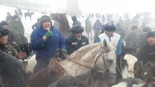 Маткасым балбан дубасын берди улак берген адамга