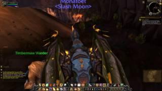 Quest 2071: Speak to Salfa (WoW, human, paladin)