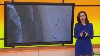 Oil spill near Huntington Beach, California, kills wildlife and closes beaches
