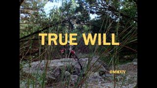 "True Will" - Jim Hickcox | Hyperreal TV