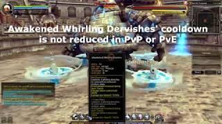 Dragon Nest Spirit Dancer Skill Bug