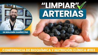 Usar Arándanos para "Limpiar" Arterias - Conferencia #103 Contra las Enfermedades - Dr Benjamín PhD