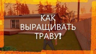 GTA SAMP | Как выращивать тринихуану | TRINITY RP