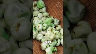 Savory snack made from tea bag fruit