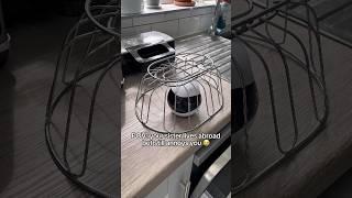 Why is my sister a tiny robot?  #robot #longdistance #sibki #siblings #home