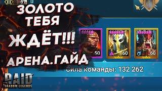 КАК ПОДНЯТЬСЯ В ЗОЛОТО ЗА 1 ДЕНЬ? ГАЙД ПО АРЕНЕ - RAID SHADOW LEGENDS