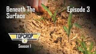 Top Crop | Episode 3