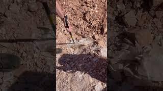 Crystal Mining ️ Honestly, if I could spend all day just dighing in the dirt I would!  I just