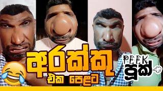 Peek Pook අරක්කු එක පෙළට | #funny #comedy #peekpook #peekpooknew #peekpuknew #peekපූක් #arakku