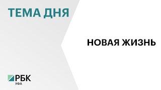 В РБ снижается младенческая смертность: за I кв. 2023 г. показатель составил 3,7 промилле