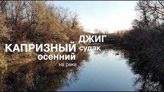 Капризный судак. Осенний джиг на реке Самара