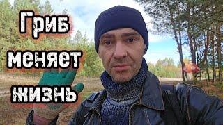 Что под силу вам и мухомору вместе.