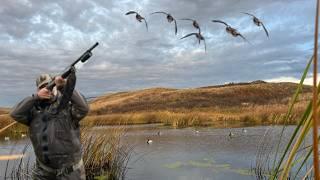 Tucked in the Cattails: A Beautiful Remote Marsh - Full Immersion Duck Hunt!