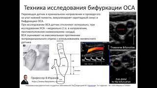 Клиническая и ультразвуковая анатомия брахиоцефальных артерий.  3 ЧАСТЬ