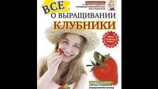 ВСЕ О ВЫРАЩИВАНИИ КЛУБНИКИ. Общие принципы и пошаговое руководство.