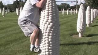 Cornhenge in Columbus Ohio