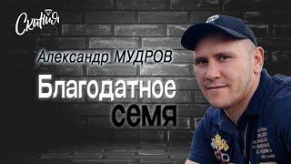 Александр Мудров "Благодатное семя"