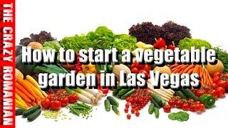 How to start a vegetable garden in Las Vegas!?