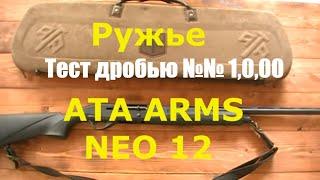 Ружье ATA ARMS NEO 12. Итоговое тестирование крупной дробью.