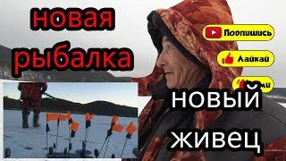 НОВАЯ РЫБАЛКА  НОВЫЙ ЖИВЕЦ