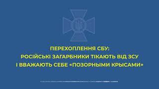 Русские оккупанты боятся Украинскую Армию. Рашист позвонил домой: Мы тут бегаем, как позорные крысы