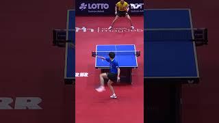 Jun Mizutani on fire  #PingPong #TableTennis