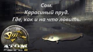 Atom Fishing II - Сом. Карасиный пруд. Где, как и на что ловить.