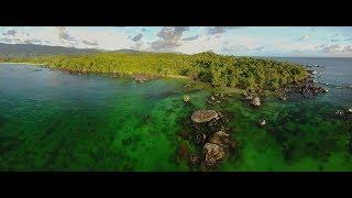 4k: 10 days travel in Masoala National Park, Madagascar - Wildlife and rain forest