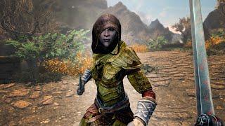 Thief's Reaction to Nightingale Armor - Skyrim