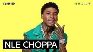 NLE Choppa "Slut Me Out 2" Official Lyrics & Meaning | Genius Verified