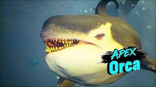 MANEATER Apex Orca Boss Fight Gameplay 4K 60FPS