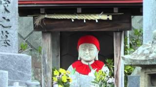 Jizo Amidst The Tombs