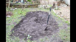 Making a backyard garden pond for wildlife in Galway