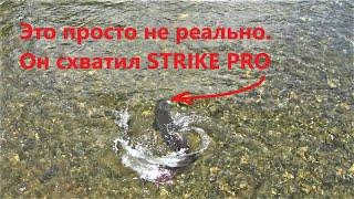 Я не мог в это поверить !!! STRIKE PRO против дерзкого ТАЙМЕНЯ !!! Часть 2.