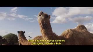 Tracks_2013 (Legendado) HD