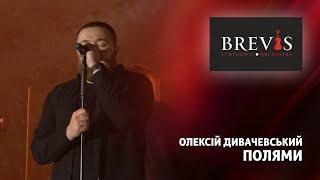 Олексій Дивачевський - Полями | Симфонічний оркестр "BREVIS" з програмою "ПАТРІОТ"