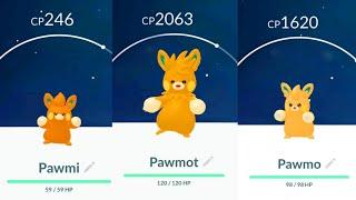 Gen 9 PAWMI evolution line in pokemon go.