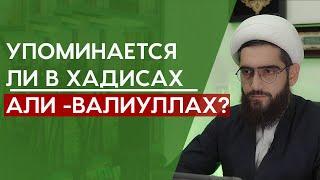 Упоминается ли в хадисах Али - валиуллах?