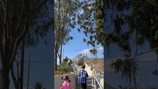 took wero and isabella to east la el pino #eastla #losangeles #shorts #short #viral #fyp