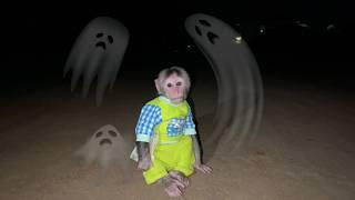 Cubis monkey runs away in fear when he sees a ghost!