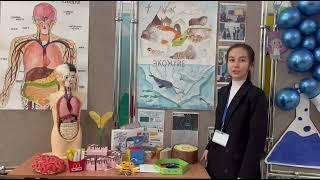 178 мамандандырылған лицей көрме.