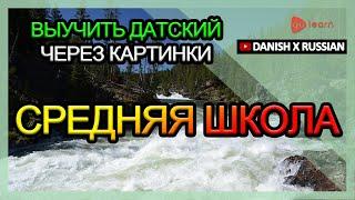 Выучить датский через картинки |датский словарь Средняя школа | Golearn