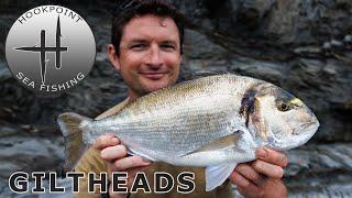 Open Coast Fishing for Gilthead Bream with Ben Conway