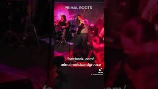 Primal Roots - Live in Remedy Club - Upcoming album soon #guitarshredder #heavymetal