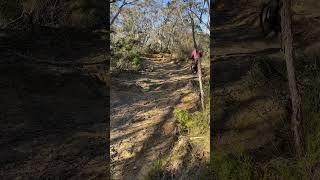 VALK Cyclone 7 hill climb demonstration on a very steep hill ridden by an unfit rider #ebike